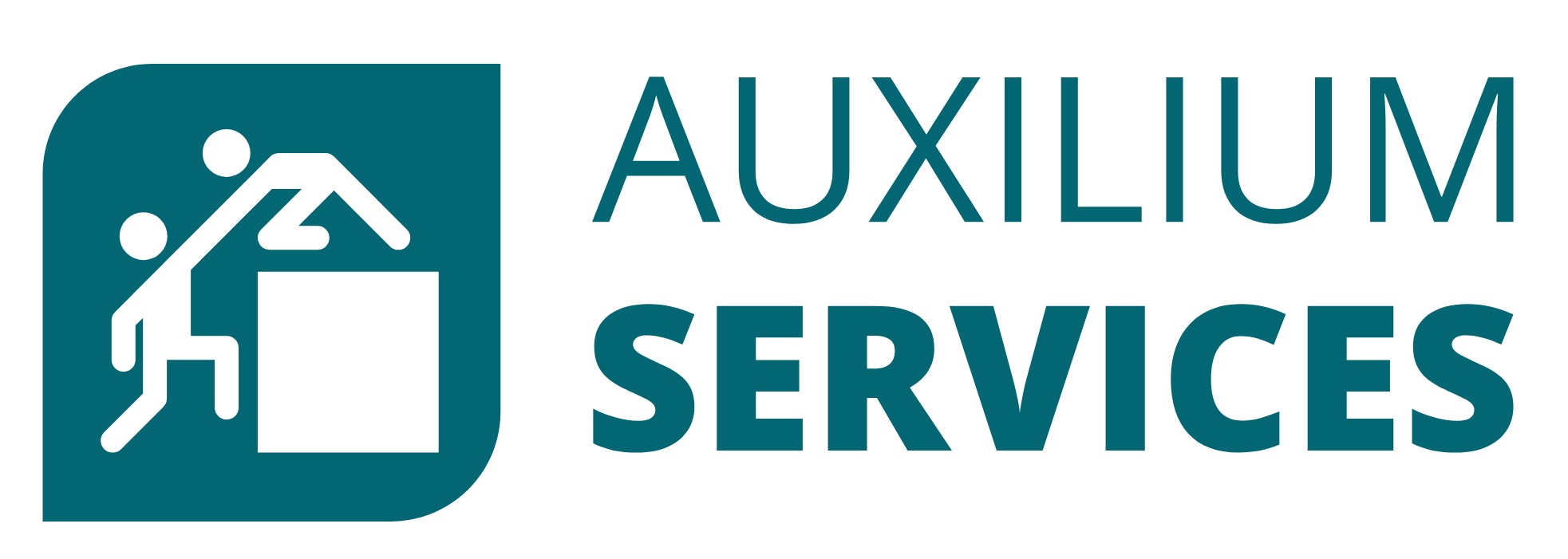 Auxilium Services